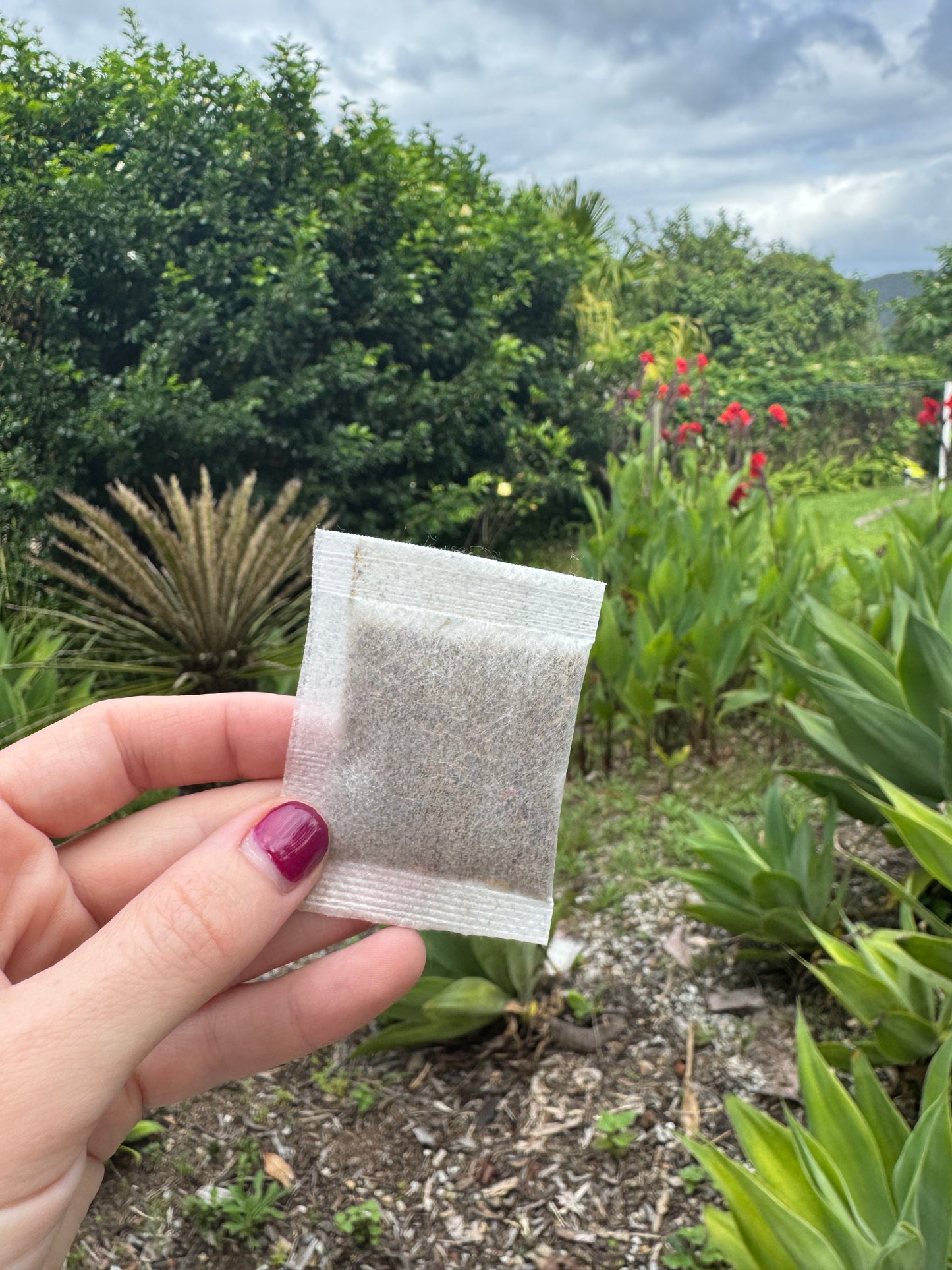 Night Nectar Eco Bulk 20 Pack